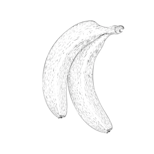 Frutto Sano Antiossidante Vettore Illustrazione Banane — Vettoriale Stock