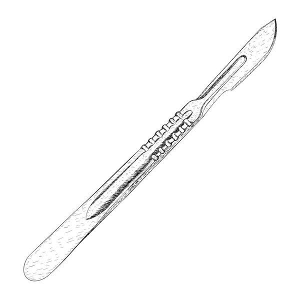 Hand drawn vector of bone lever illustration 