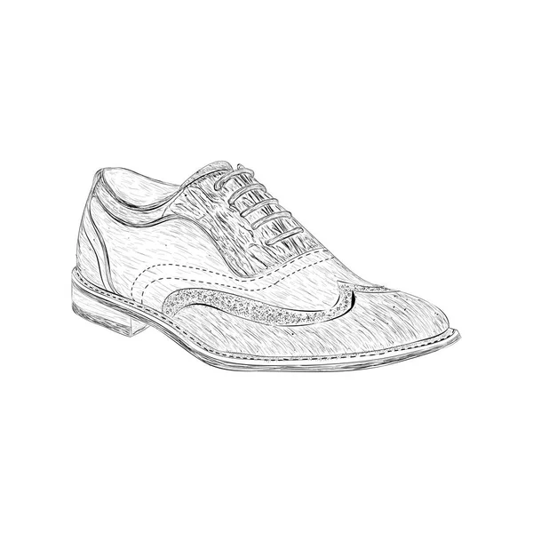 Suede Wingtips Ilustração Vetor Desenhado Mão — Vetor de Stock