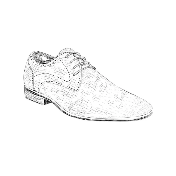 Ilustración Zapatos Brogue Vector Dibujado Mano — Vector de stock