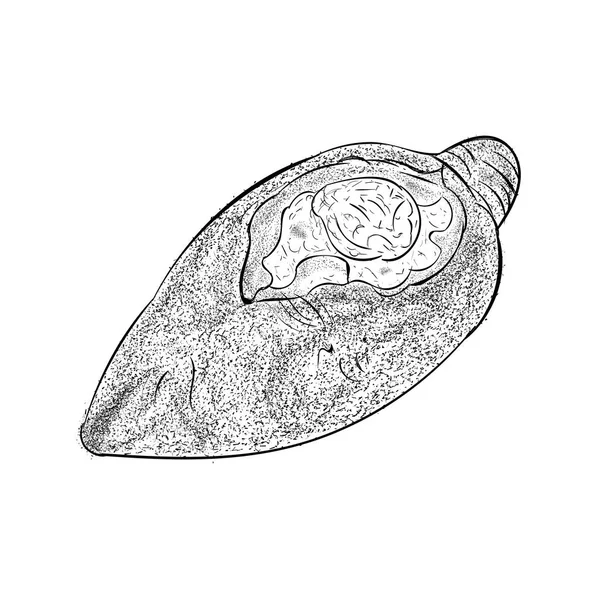 Vetor Ilustração Pattie Desenhado Mão —  Vetores de Stock