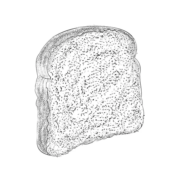 白い背景の手描きイラストにパントースト — ストックベクタ