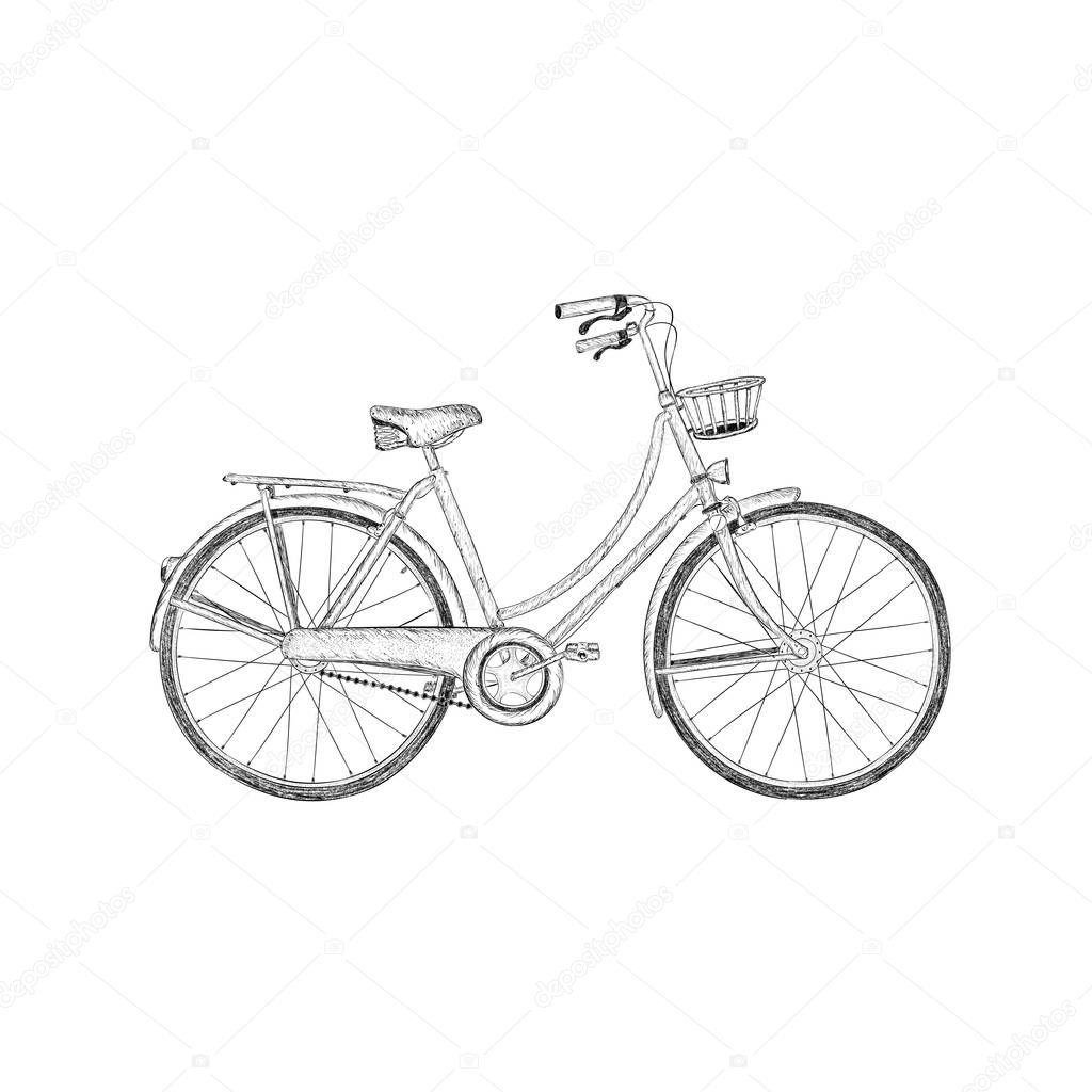 Hand drawn design of bicycle sketch.