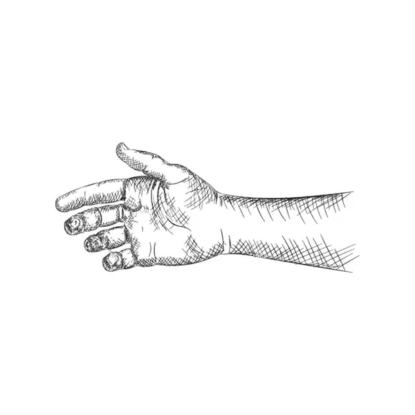 Vetor Ilustração Braço Estilo Desenhado Mão — Vetor de Stock