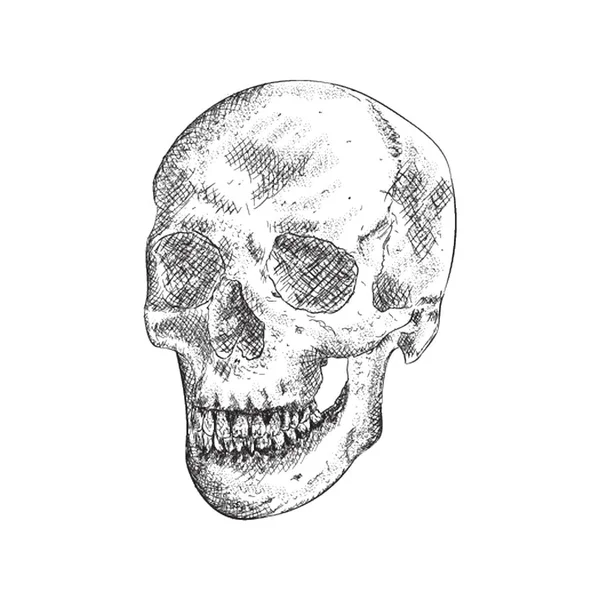 Ilustración Cabeza Muerta Del Ser Humano Vector Dibujado Mano — Archivo Imágenes Vectoriales