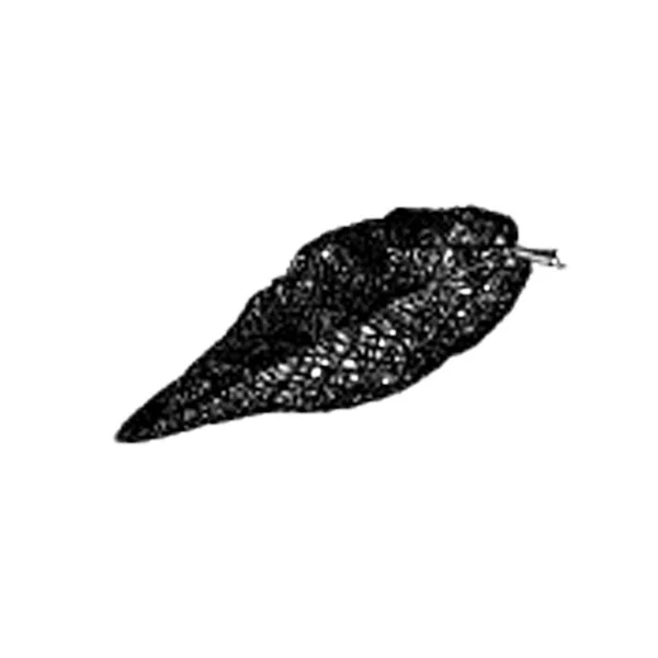 Hand Dras Vektor Poppel Leaf Illustration — Stock vektor