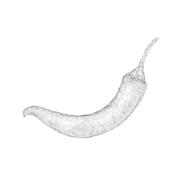 Chiles Ardientes Ilustración Dibujada Mano — Archivo Imágenes Vectoriales