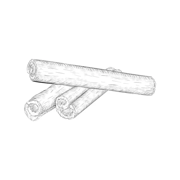 Cinnamon Illustration Hand Drawn Vector — Stock Vector