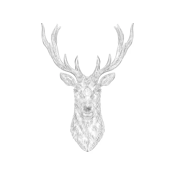 Deer Head Hand Drawn Illustration Design — Stock Vector