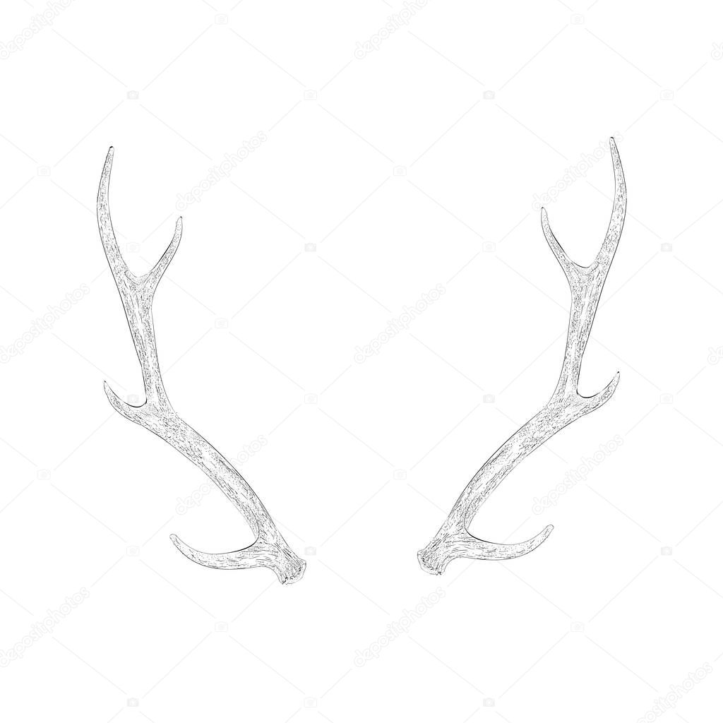 Antlers in hand drawn design 