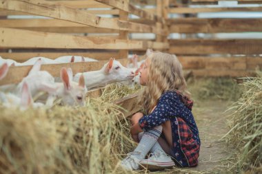 side view of kid going to kiss goat at barn clipart