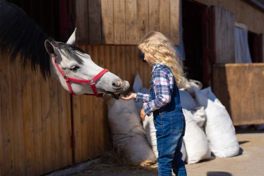 side view of kid feeding horse from hand at farm clipart