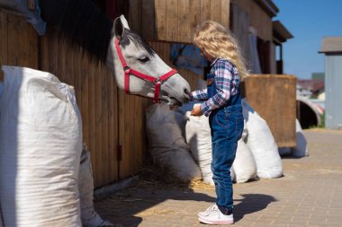 side view of kid feeding horse at farm clipart
