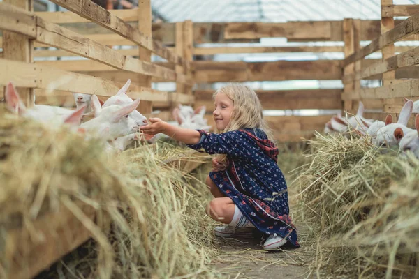 Boční Pohled Usmívající Dítě Sedí Zemi Stodole Dojemné Koz — Stock fotografie