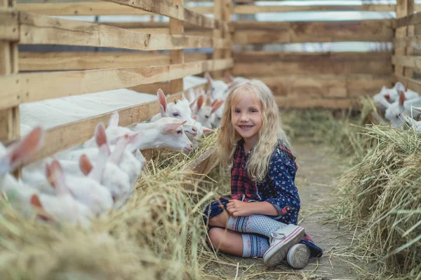 Farming — Stock Photo, Image