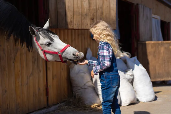 Widok Boku Dziecko Karmienie Konia Ręki Gospodarstwie — Zdjęcie stockowe