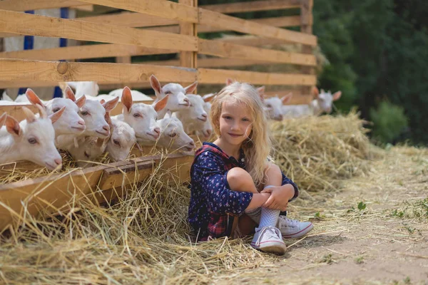 Bambino Seduto Sul Fieno Vicino Capre Dietro Recinzioni Fattoria Guardando — Foto Stock