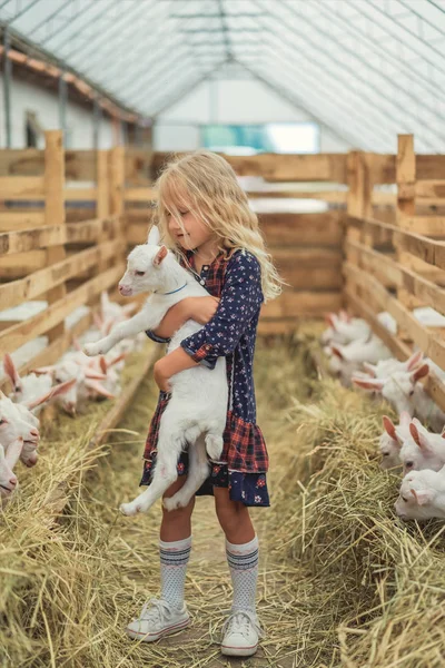 Adorable Kid Hugging Goat Farm — Stock Photo, Image