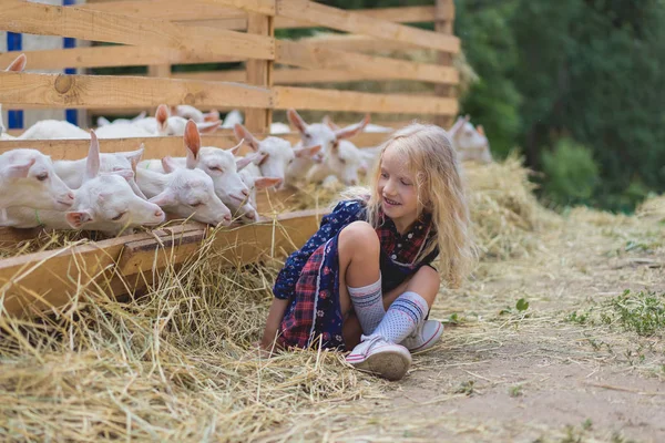 Kind Sitzt Auf Heu Neben Ziegen Hinter Zäunen Auf Bauernhof Stockbild