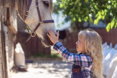 side view of child touching white horse at ranch clipart