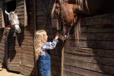 child touching brown horse at farm clipart