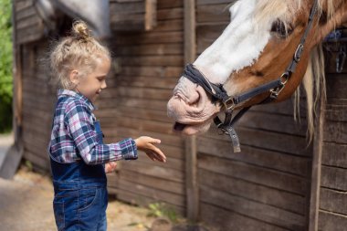 side view of child going to touch horse at farm clipart