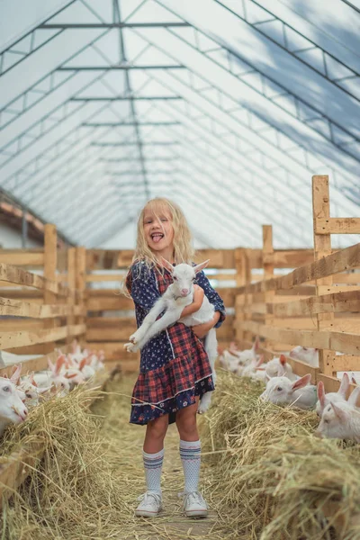 Adorable Niño Pegando Lengua Fuera Sosteniendo Cabra Granja — Foto de Stock