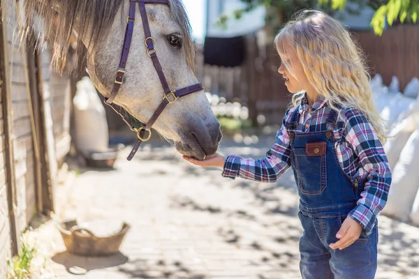 stock image side view of kid feeding horse at ranch