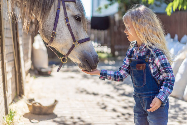 side view of kid feeding horse at ranch