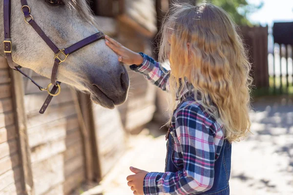 Side View Child Palming White Horse Farm — Free Stock Photo