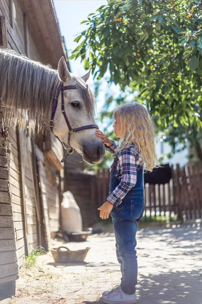 Boční Pohled Dítě Dotýkat Bílého Koně Farmě — Stock fotografie zdarma