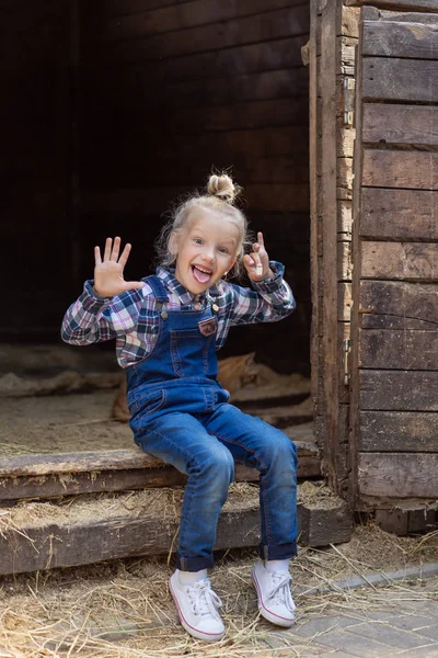 Divertimento — Foto stock gratuita