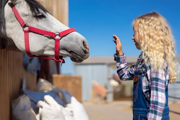 子供の農場で馬に触れるつもりの側面図 — ストック写真