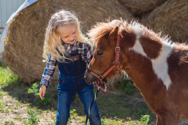 Niño Feliz Pie Cerca Lindo Pony Granja — Foto de Stock