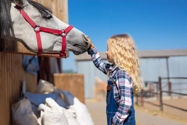Zijaanzicht Van Kind Aanraken Paard Ranch — Stockfoto