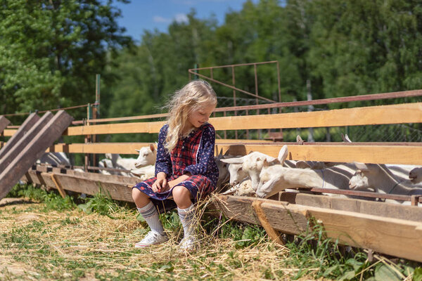 ребенок сидит на заборе на ферме и смотрит на коз
