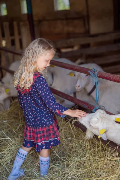子供の農場でヤギをパーミングの側面図  — 無料ストックフォト