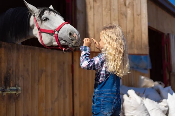 Side View Kid Touching Horse Farm — Stock Photo, Image