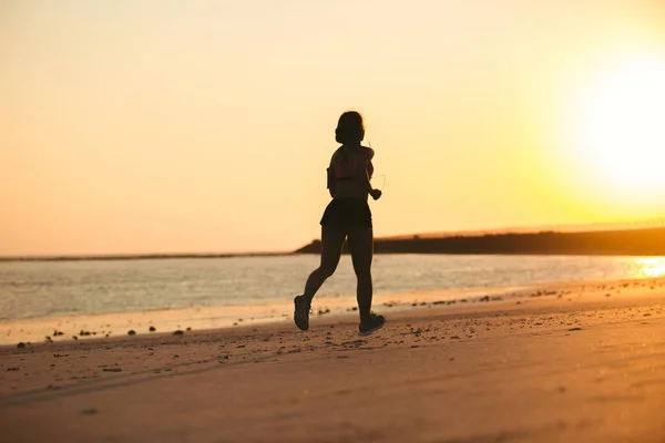 Seashore — Stock Photo