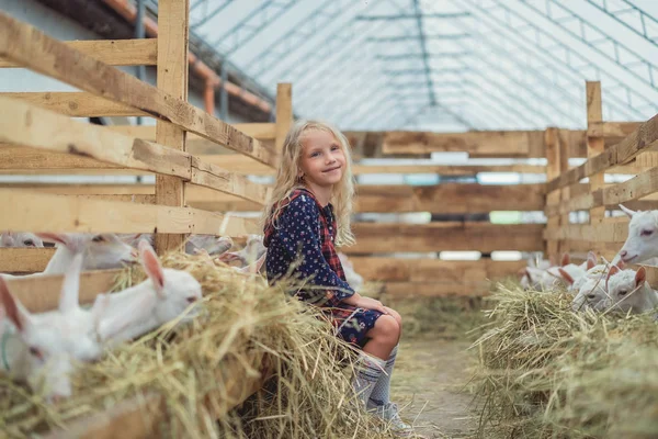 Enfant souriant assis dans la grange avec des chèvres — Photo de stock