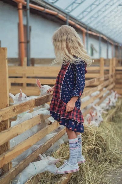 Seitenansicht eines Kindes, das Ziege auf Bauernhof berührt — Stockfoto