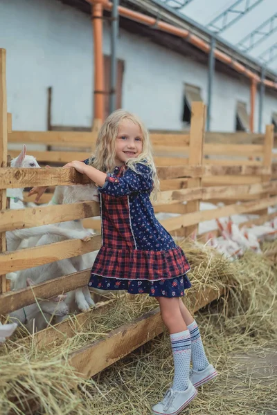 Bambino sorridente che tocca capre in stalla a fattoria — Foto stock