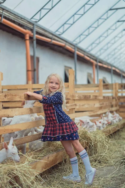 Улыбающийся ребенок, стоящий на ферме с козами — стоковое фото