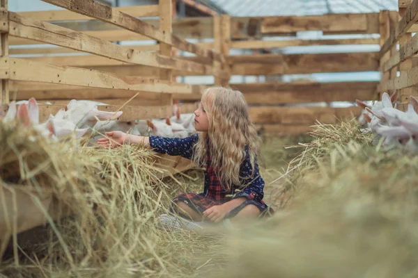 Smiling kid touching goats through fence in stable — Stock Photo