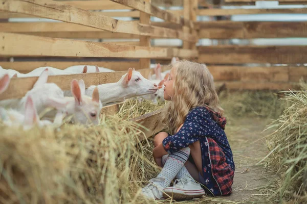Вид сбоку на ребенка, собирающегося поцеловать козу в сарае — стоковое фото