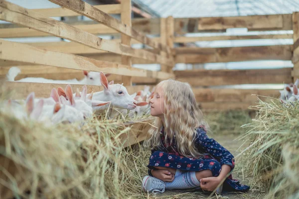 Side view of child going to kiss goat at farm — Stock Photo