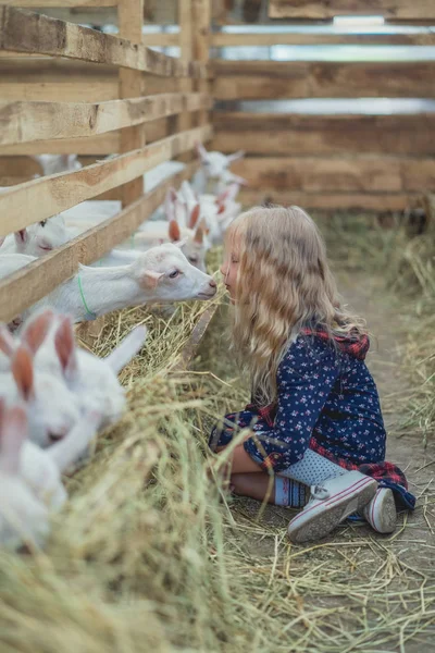 Вид сбоку ребенка, собирающегося поцеловать козу на ферме — стоковое фото