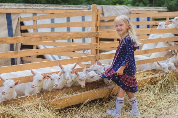 Goats biting kids dress at farm, happy child looking at camera — Stock Photo