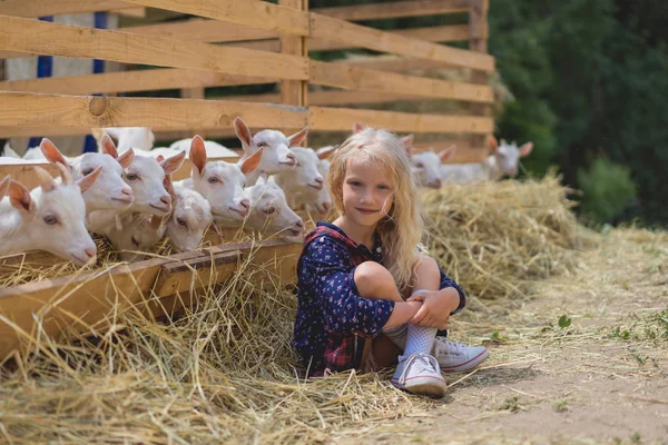 Ребенок сидит на сене возле коз за заборами на ферме и смотрит в камеру — стоковое фото