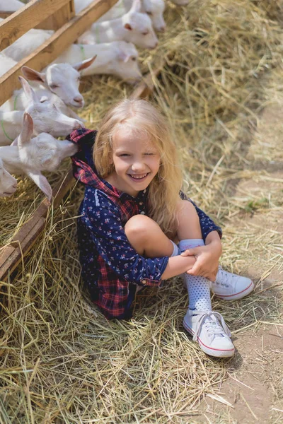 Vue en angle élevé d'un enfant souriant assis sur du foin près de chèvres derrière des clôtures à la ferme — Photo de stock